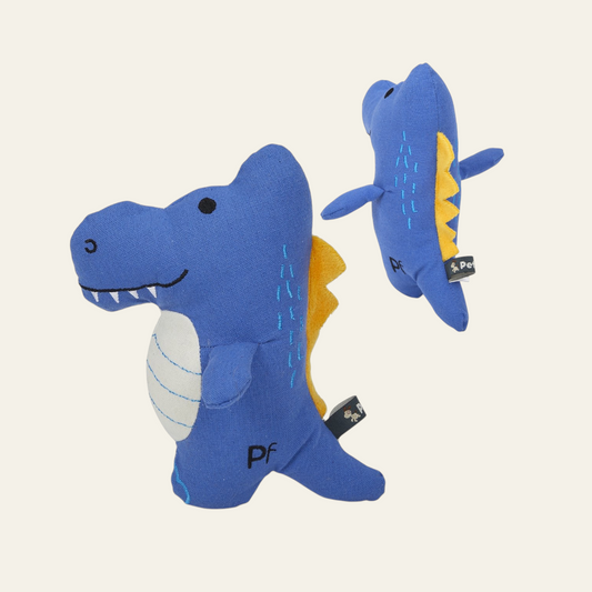 Petface Canvas Dino