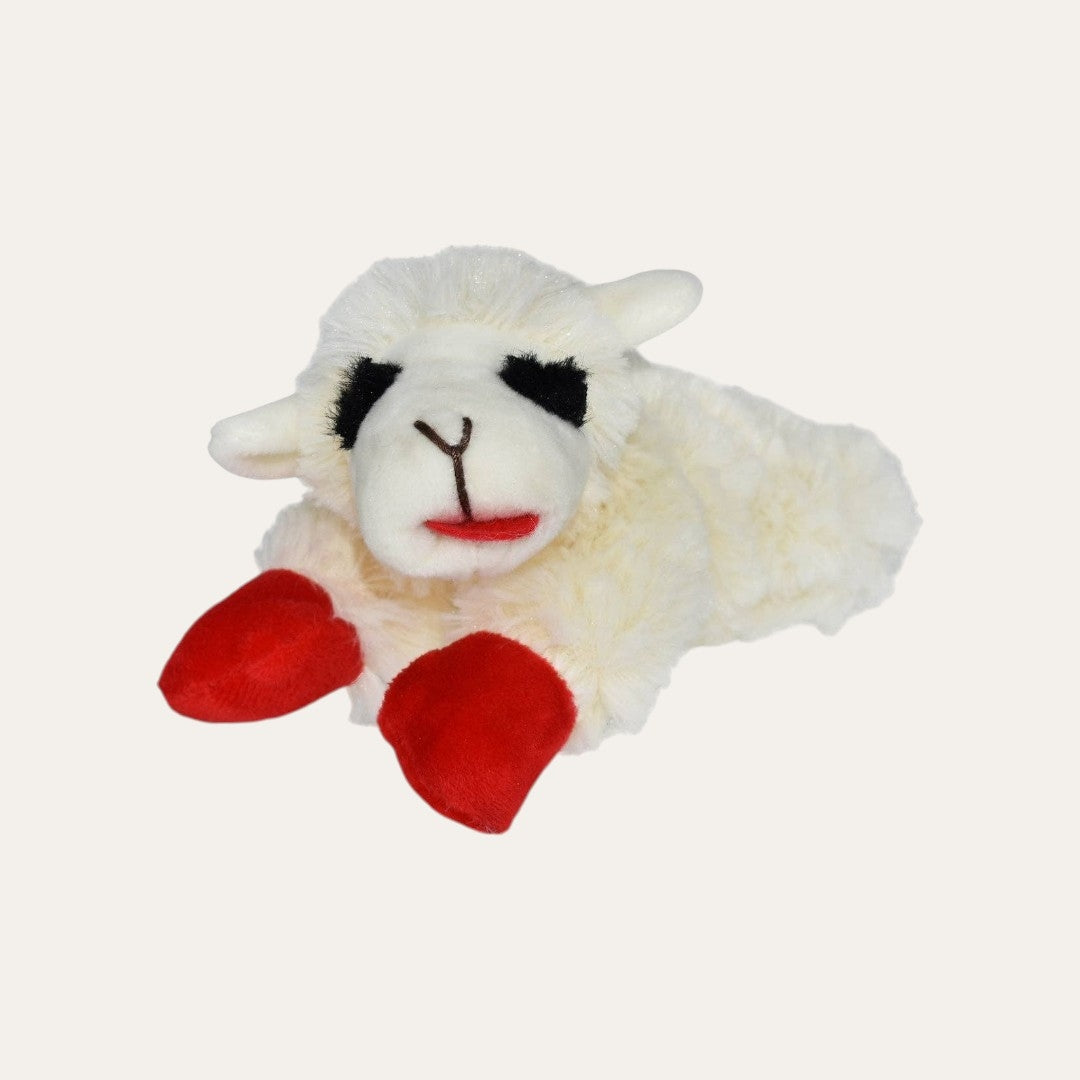 Small Lamb Chop