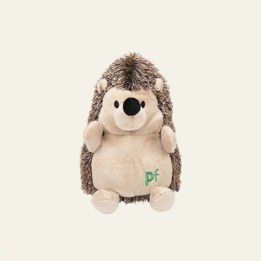 Petface Heston Hedgehog