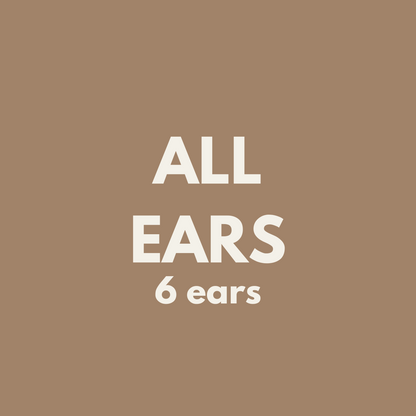 FIVER FRIDAY| All Ears