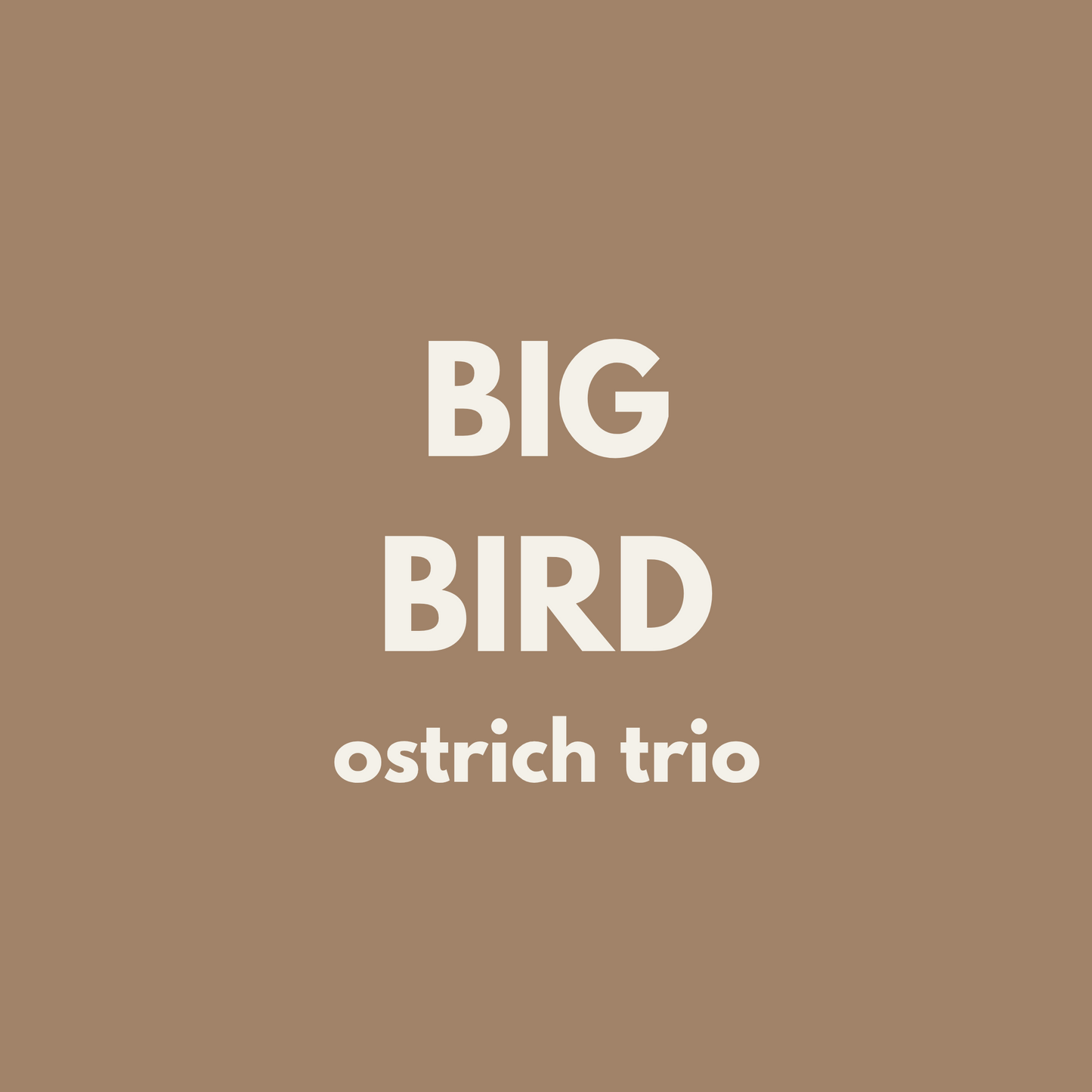 Fiver Friday | BIG Bird Trio - Ostrich 🪶