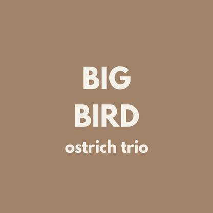 Fiver Friday | BIG Bird Trio - Ostrich 🪶