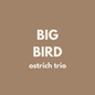 Fiver Friday | BIG Bird Trio - Ostrich 🪶