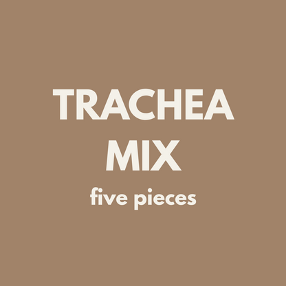 Fiver Friday| Trachea Mix