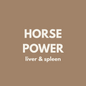 Fiver Friday | Horse Power 🐴