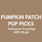 TENNER TUESDAY | Pumpkin Patch Pup Picks