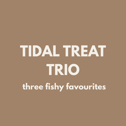 FIVER FRIDAY| Tidal Treat Trio 🐟