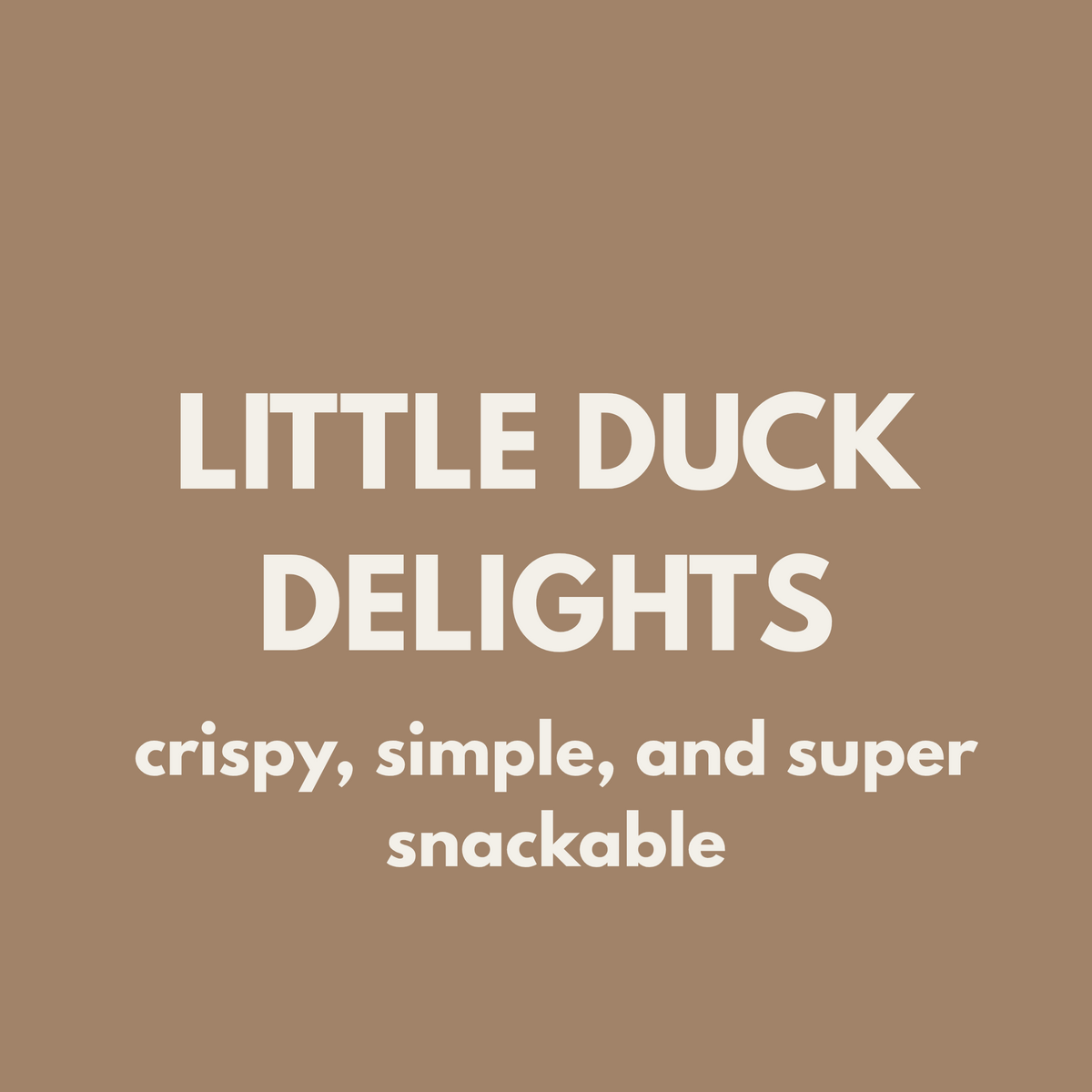 FIVER FRIDAY| Little Duck Delights 🦆