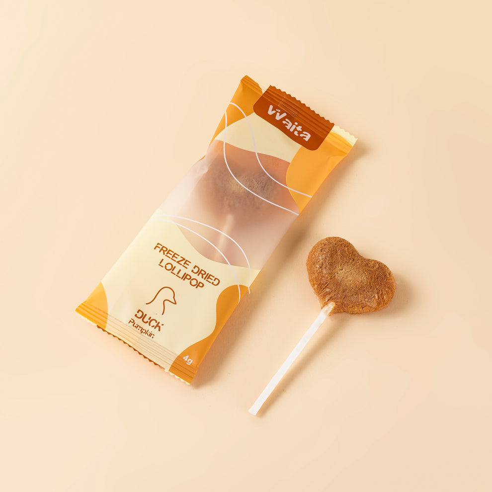 Waita Freeze-Dried Duck & Pumpkin Lollipop