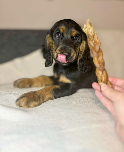 Braided Lamb Gullet