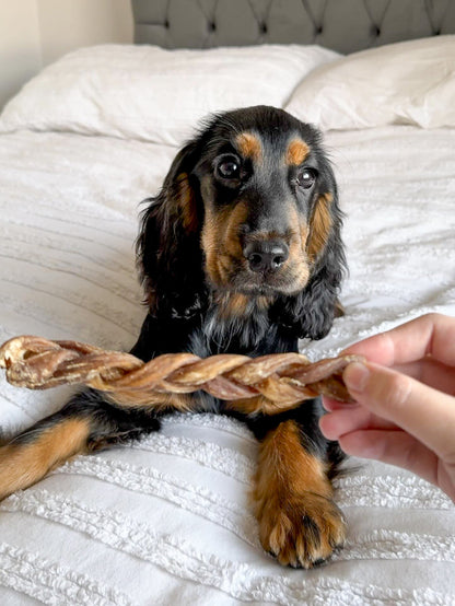 Braided Lamb Gullet