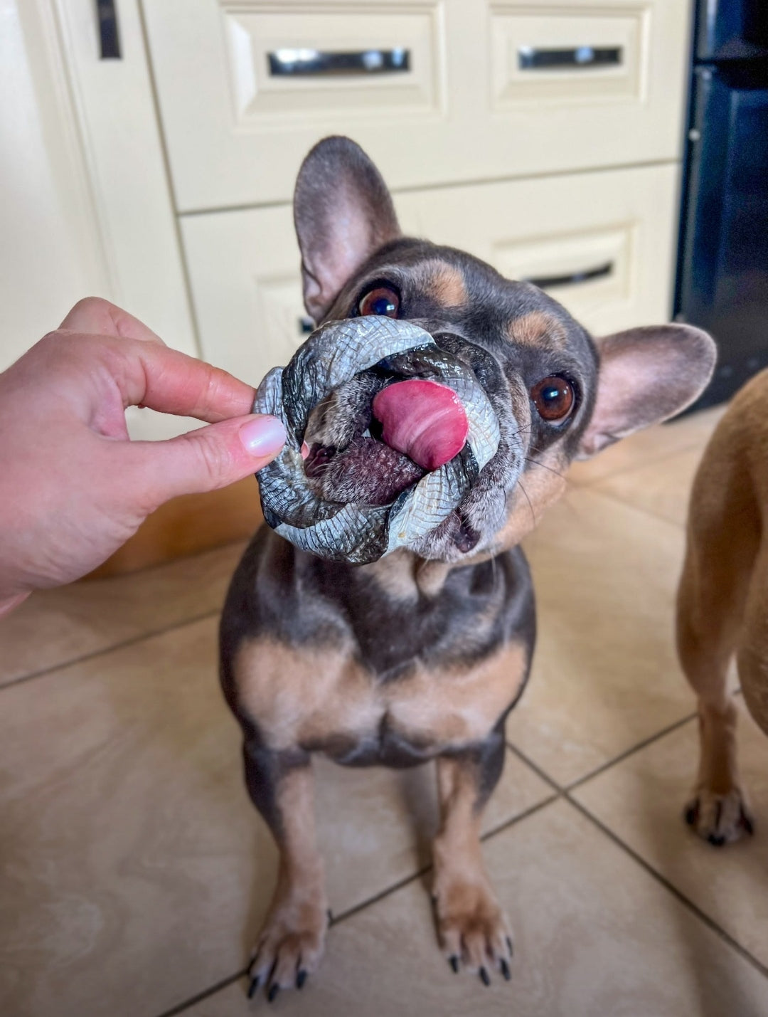 Fish Skin Donuts