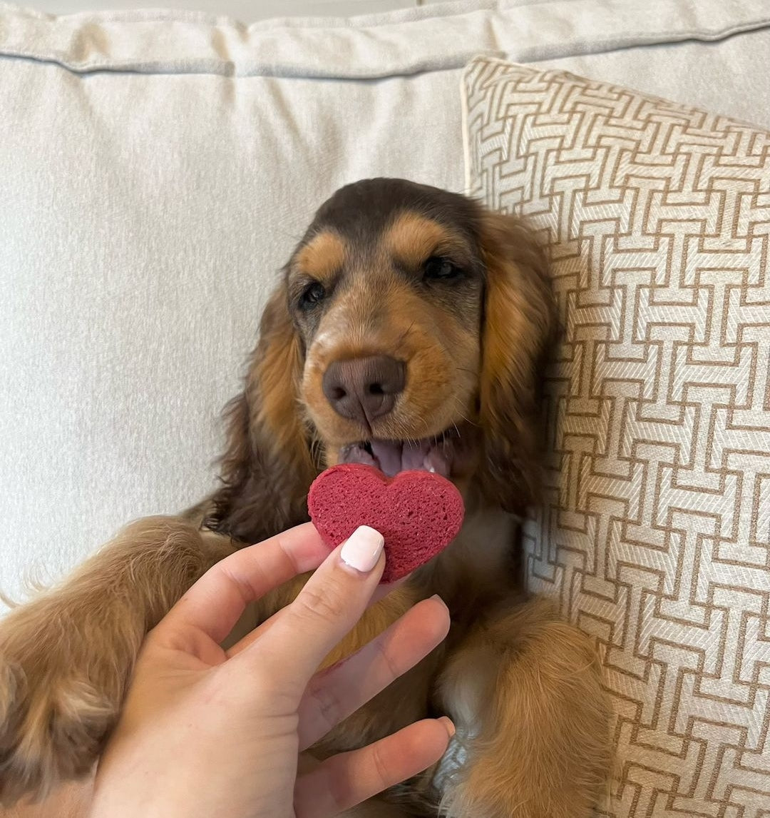 Vampire Kisses