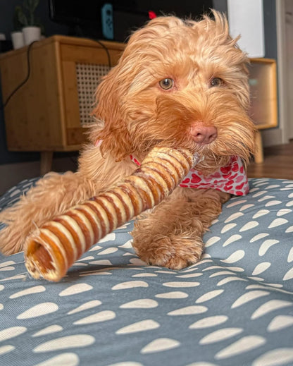 Beef Trachea 20cm