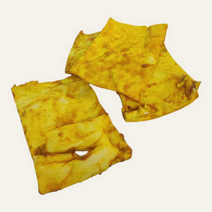 Anco Naturals Beef, Chicken & Turmeric Chip