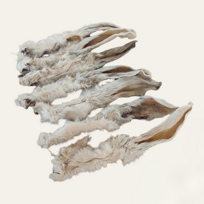 FIVER FRIDAY| All Ears