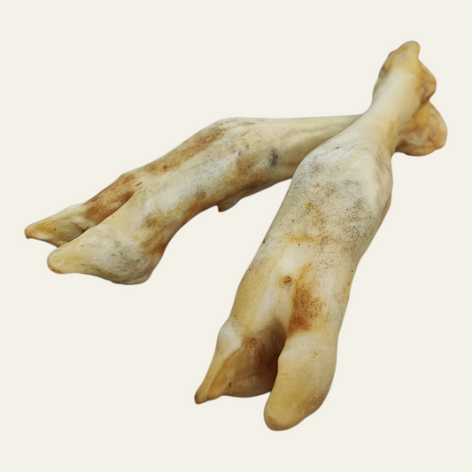 Hairless Lamb Leg