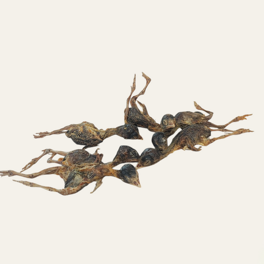 Single Freeze Dried Quail