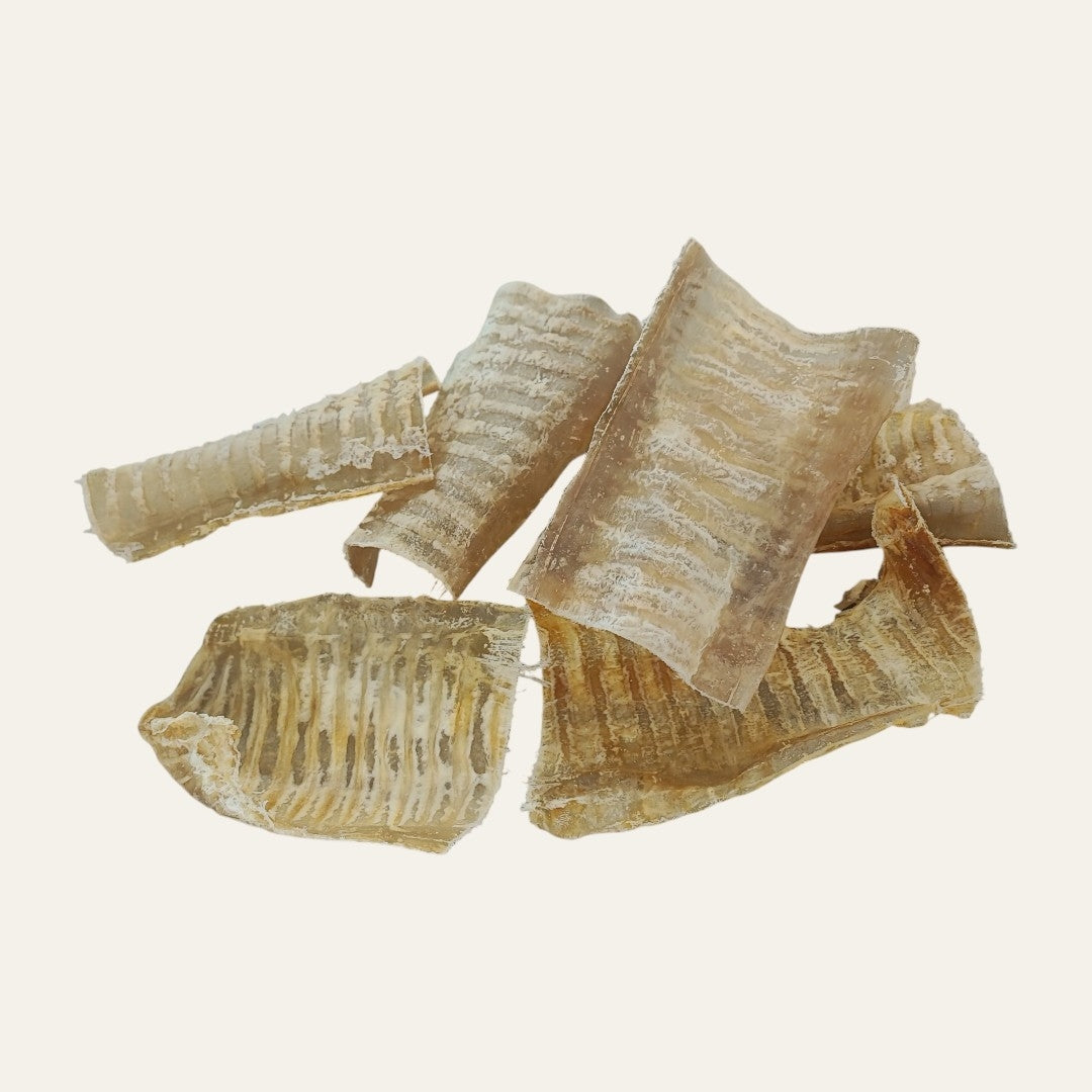 Fiver Friday| Trachea Mix