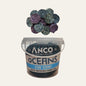 Anco Oceans Cod Coins 150g