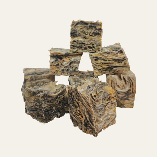 Large Fish Skin Cube