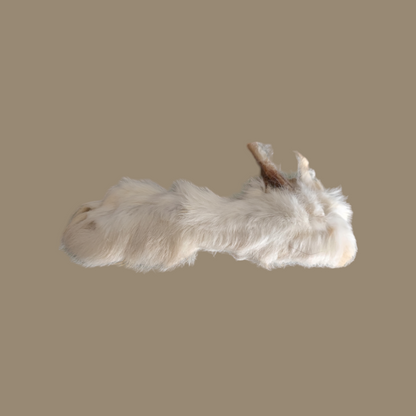 Rabbit Foot