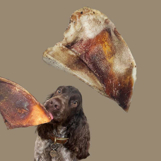 Beef Moon Bone