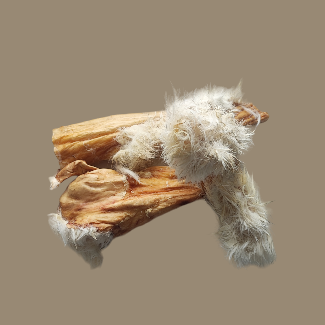 Hairy Rabbit Skin