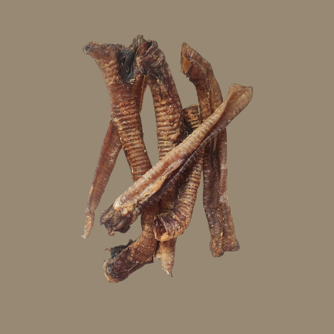 Lamb Trachea