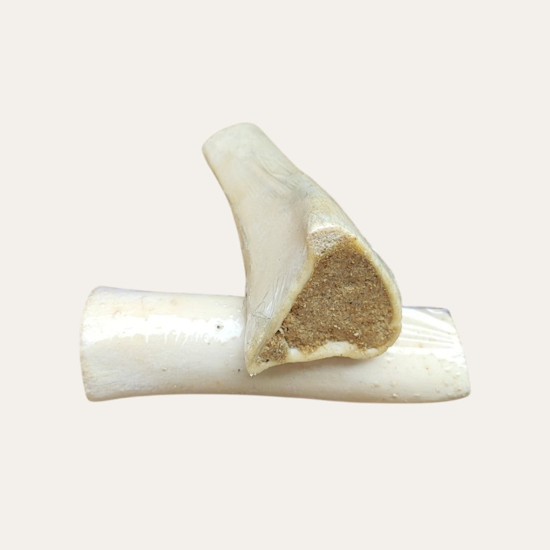 Buffalo White Tibia Bone Stuffed with Peanut Butter 6 Inch