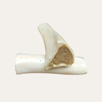 Buffalo White Tibia Bone Stuffed with Peanut Butter 6 Inch