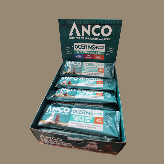 Anco Oceans+ Protein Bar with Pumpkin