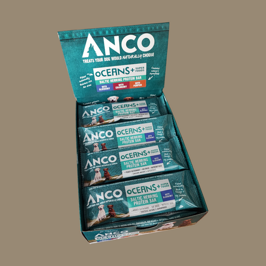 Anco Oceans+ Protein Bar with Blueberry