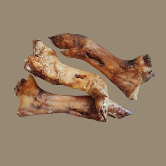 Pig Leg/ Trotter