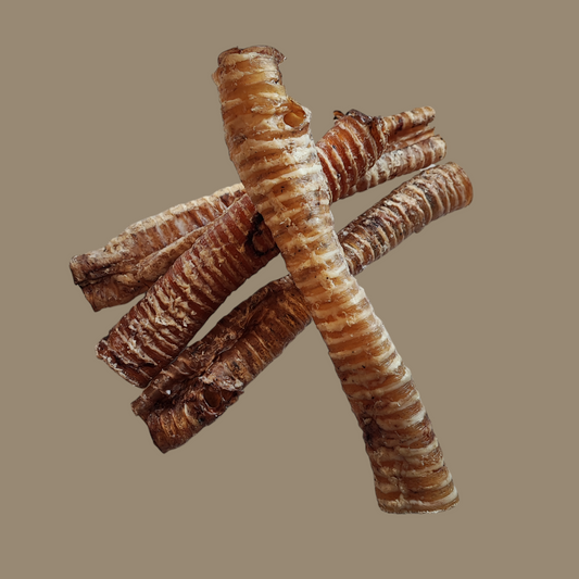 Buffalo Trachea| 30cm