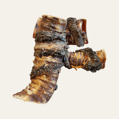 Anco Naturals Tripe Wrapped Bully Tube