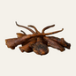 Wild Boar Tail