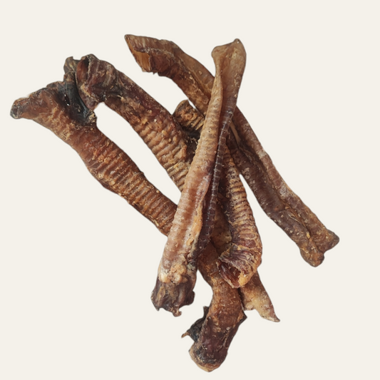 Lamb Trachea