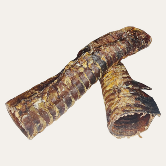 Beef Trachea 20cm