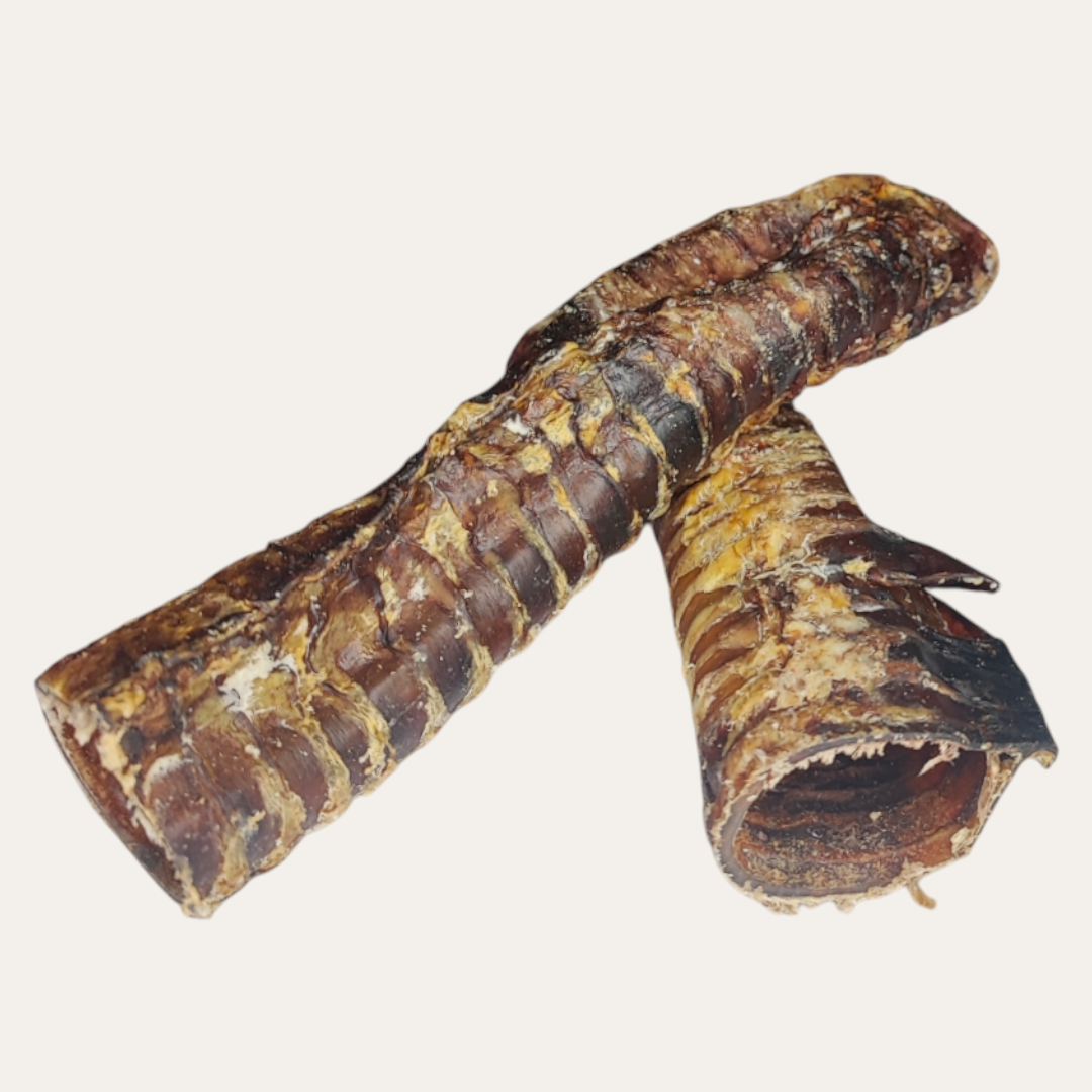 Fiver Friday| Trachea Mix