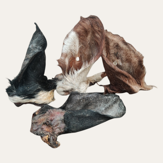 Hairy Cow Ear