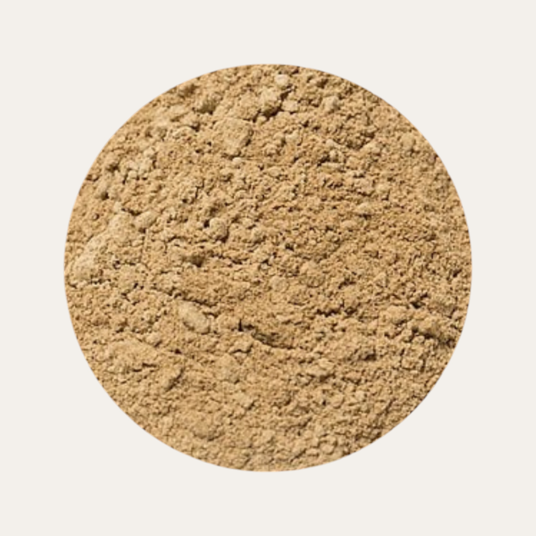 Organic Lion's Mane Mushroom Powder