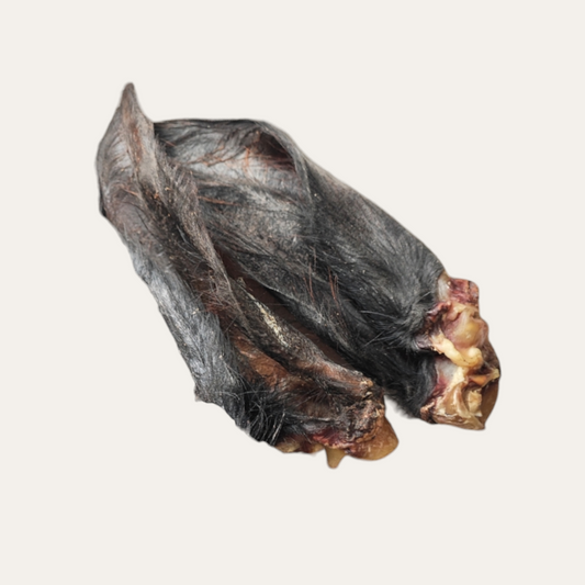 FIVER FRIDAY| All Ears