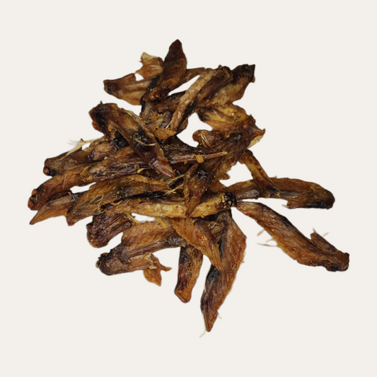 Chicken Wing Pieces