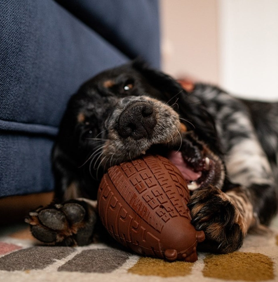 Great & Small Stay Wild Grizzly Bear Treat & Bounce