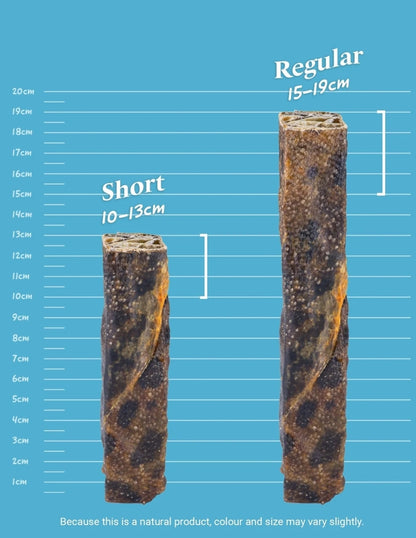 Wolf Fish Throw Stick | 2 Sizes