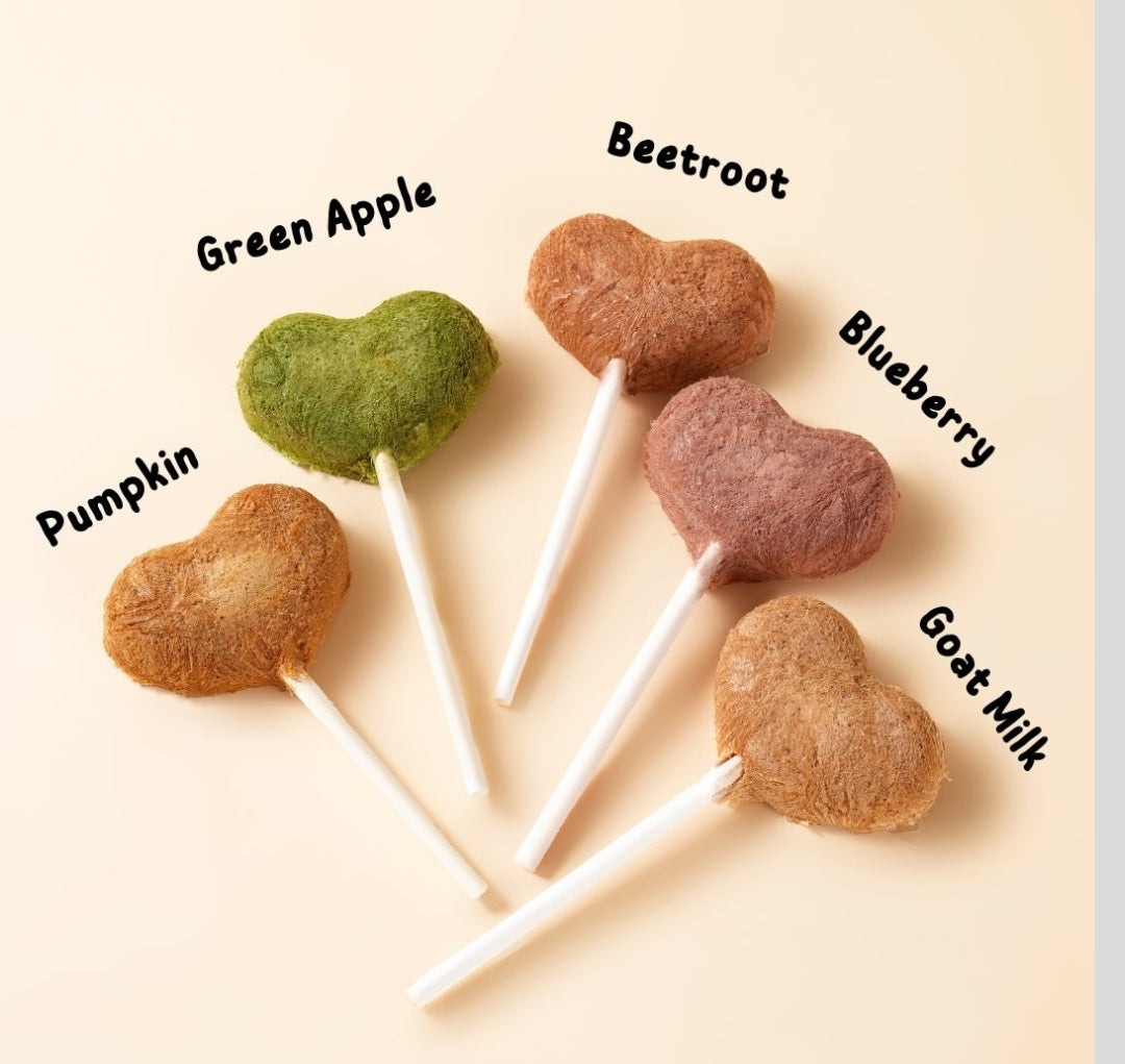 Waita Freeze-Dried Duck Lollipops – 5 Pack