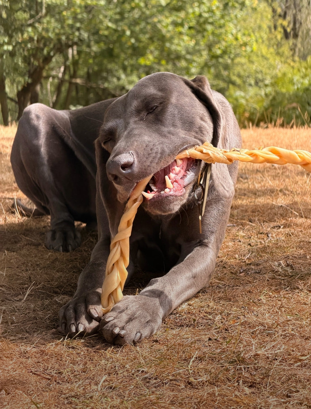 Anco Naturals GIANT Lamb Braid