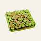 Tall Tails Spring Clover Foraging Mat