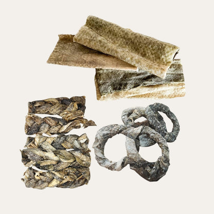 FIVER FRIDAY| Tidal Treat Trio 🐟